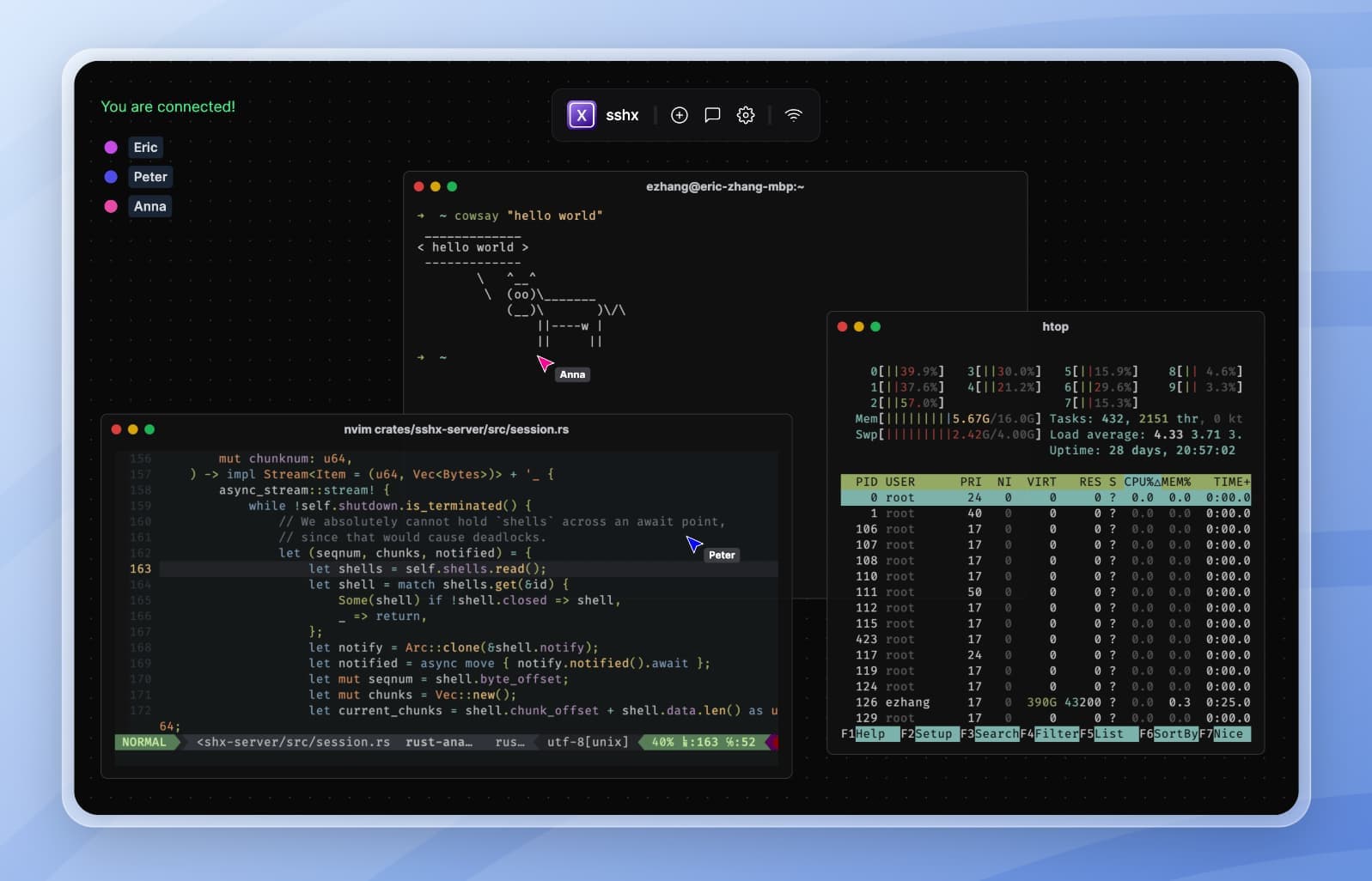 collaborative terminal preview